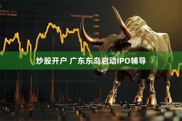 炒股开户 广东东岛启动IPO辅导